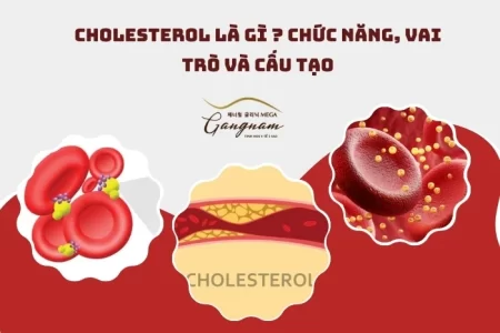 Cholesterol là gì ?