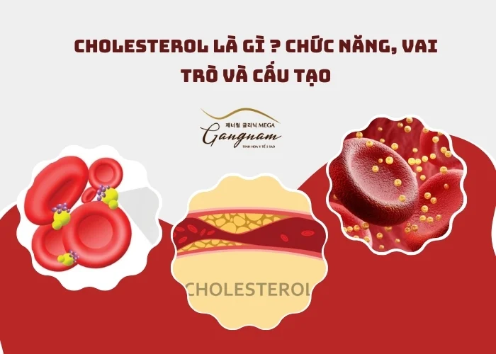 Cholesterol là gì ?