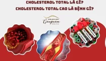 Cholesterol total là gì?