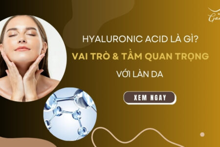 Hyaluronic Acid là gì? Vai trò và tầm quan trọng đối với làn da