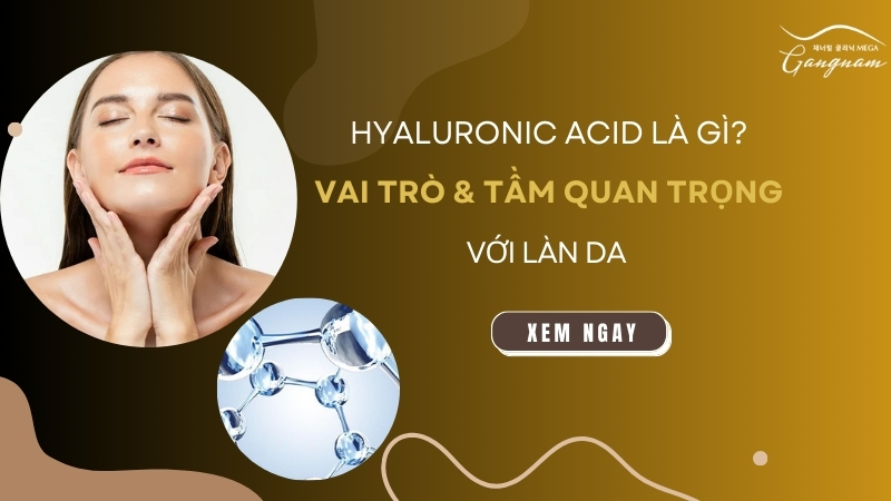 Hyaluronic Acid là gì? Vai trò và tầm quan trọng đối với làn da