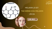 Melanin là gì? 8 tác động của sắc tố melanin lên da