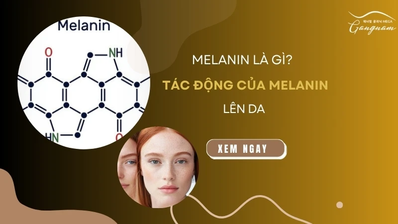 Melanin là gì? 8 tác động của sắc tố melanin lên da 