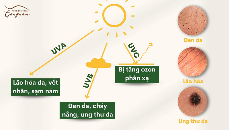 Chỉ số UV đều có tác hại lên da khi tiếp xúc đủ lâu 