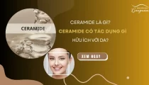 Ceramide là gì? Ceramide có tác dụng gì hữu ích với làn da