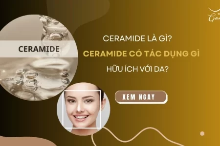 Ceramide là gì? Ceramide có tác dụng gì hữu ích với làn da