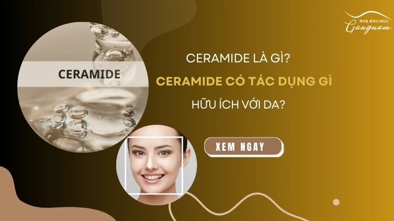 Ceramide là gì? Ceramide có tác dụng gì hữu ích với làn da 