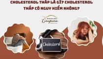 Cholesterol thấp là gì?