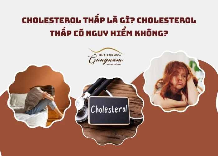 Cholesterol thấp là gì?