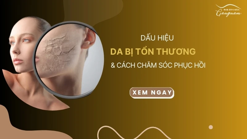 Dấu hiệu da bị tổn thương và cách chăm sóc phục hồi 