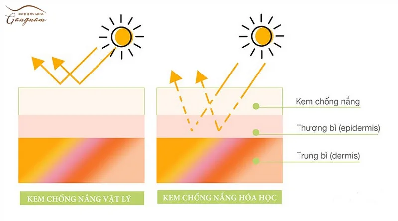 Kem chống nắng vật lý và kem chống nắng hóa học có sự khác nhau về cách phản ứng với tia UV bảo vệ da 