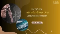 Vai trò của nội tiết tố nam là gì với sức khỏe nam giới?