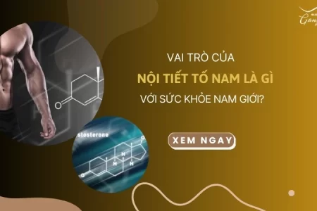 Vai trò của nội tiết tố nam là gì với sức khỏe nam giới?