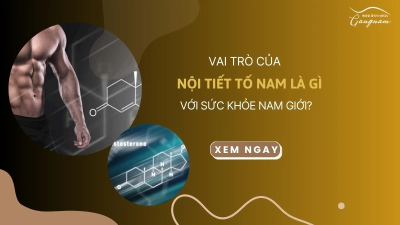 Vai trò của nội tiết tố nam là gì với sức khỏe nam giới?