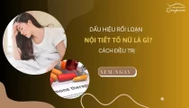 Dấu hiệu rối loạn nội tiết tố nữ là gì? Cách điều trị