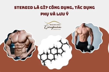 Steroid là gì?