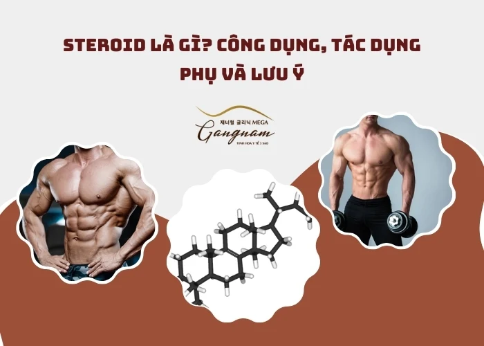 Steroid là gì?