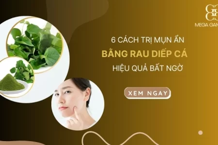 6 cách trị mụn ẩn bằng rau diếp cá hiệu quả bất ngờ