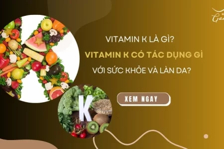 Vitamin K là gì? Vitamin K có tác dụng gì với sức khỏe và làn da?