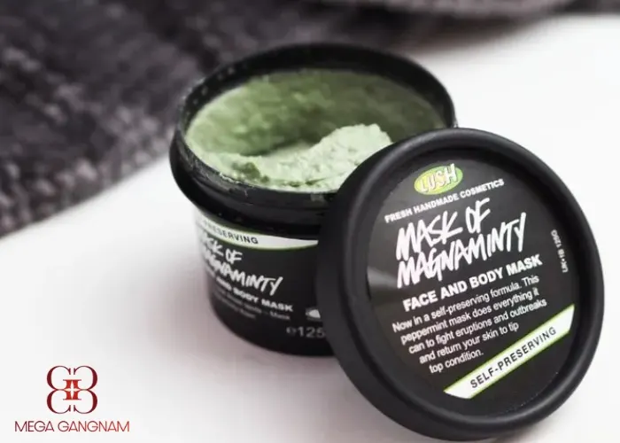 Mặt nạ đất sét trị mụn ẩn Mask Of Magnaminty