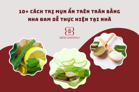 10+ cách trị mụn ẩn trên trán bằng nha đam dễ thực hiện tại nhà