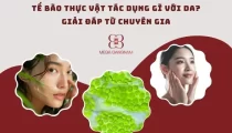 Tế bào thực vật tác dụng gì với da?