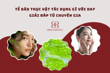 Tế bào thực vật tác dụng gì với da?