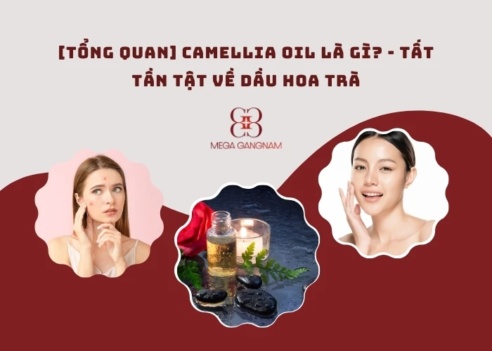 Dầu hoa trà (Camellia oil) là gì?