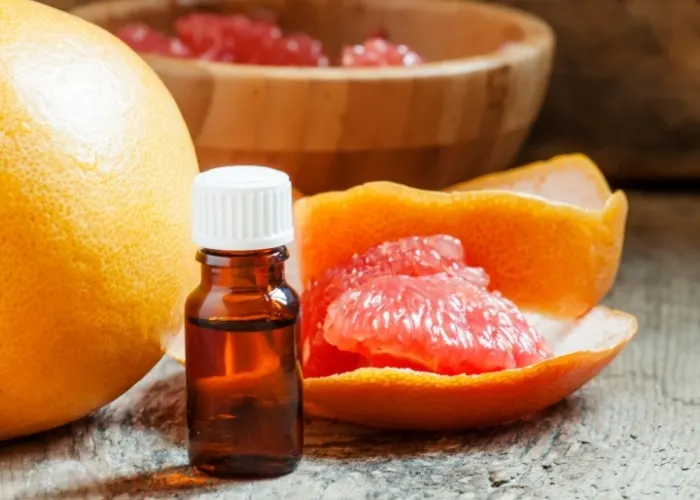 Chiết xuất bưởi (Grapefruit Extract) là gì?