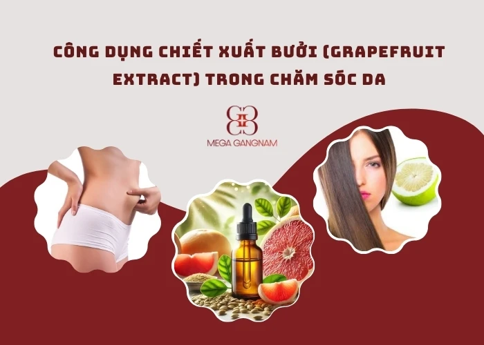 Công dụng chiết xuất bưởi (Grapefruit Extract) trong chăm sóc sức khoẻ và làm đẹp