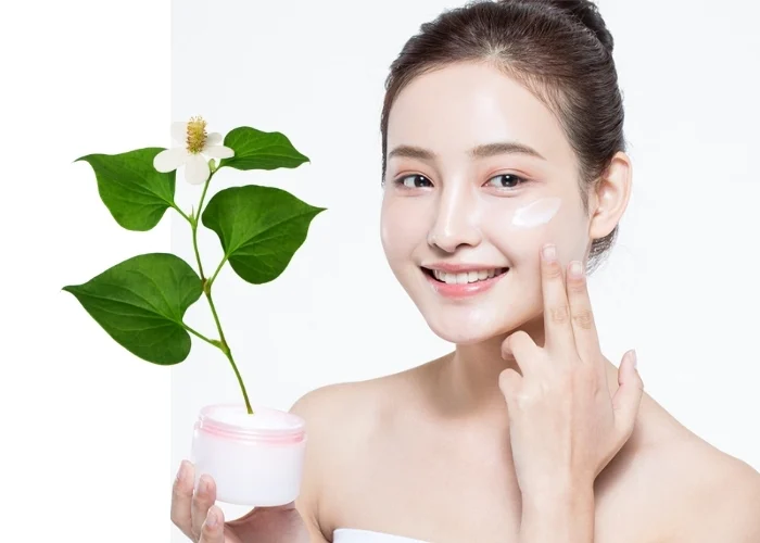 Chiết xuất cây diếp cá (Houttuynia Cordata Extract) có tác dụng giảm viêm, làm dịu da