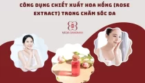 Tác dụng của chiết xuất hoa hồng trong việc làm đẹp