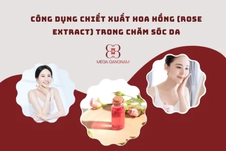 Tác dụng của chiết xuất hoa hồng trong việc làm đẹp
