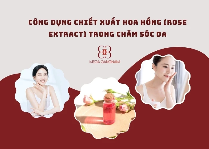 Tác dụng của chiết xuất hoa hồng trong việc làm đẹp