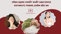 Công dụng chiết xuất gạo (Rice Extract) trong chăm sóc da