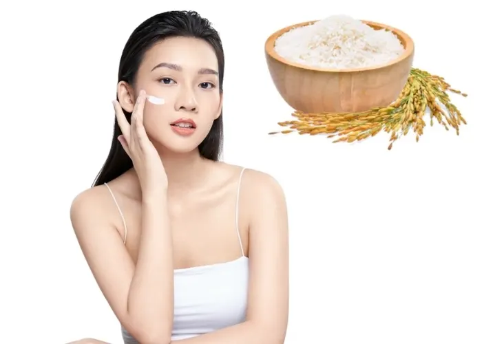 Chiết xuất gạo (Rice Extract) giúp dưỡng ẩm cho da