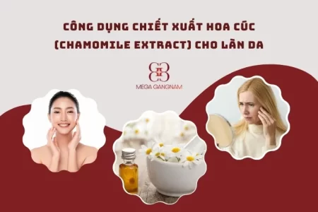 Công dụng chiết xuất hoa cúc (Chamomile Extract) cho làn da