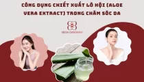 Tác dụng của chiết xuất lô hội (Aloe Vera Extract)