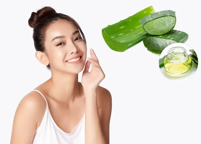 Chiết xuất lô hội (Aloe Vera Extract) có tác dụng giảm viêm da, kháng khuẩn