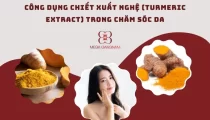 Công dụng nổi bật của chiết xuất nghệ (Turmeric Extract) trong chăm sóc da