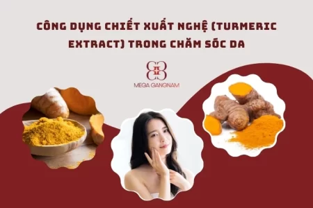 Công dụng nổi bật của chiết xuất nghệ (Turmeric Extract) trong chăm sóc da