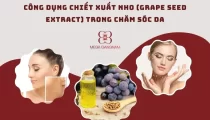 Công dụng làm đẹp của chiết xuất nho (Grape Seed Extract)