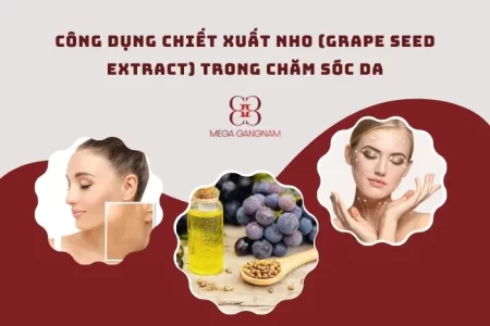 Công dụng làm đẹp của chiết xuất nho (Grape Seed Extract)