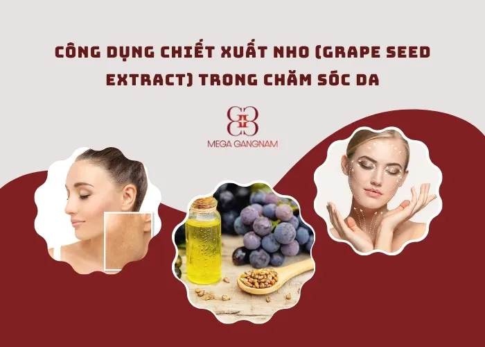 Công dụng làm đẹp của chiết xuất nho (Grape Seed Extract)