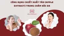 Công dụng của chiết táo