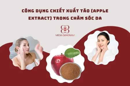 Công dụng của chiết táo