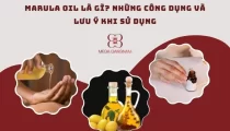 Marula oil là gì? Những công dụng và lưu ý khi sử dụng