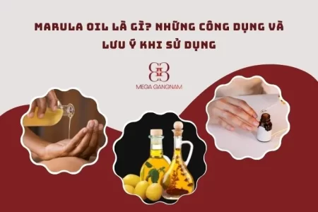 Marula oil là gì? Những công dụng và lưu ý khi sử dụng