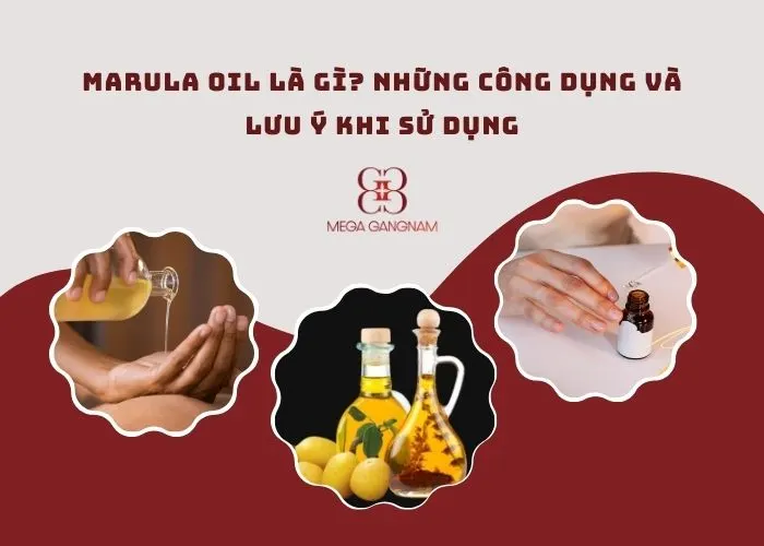 Marula oil là gì? Những công dụng và lưu ý khi sử dụng