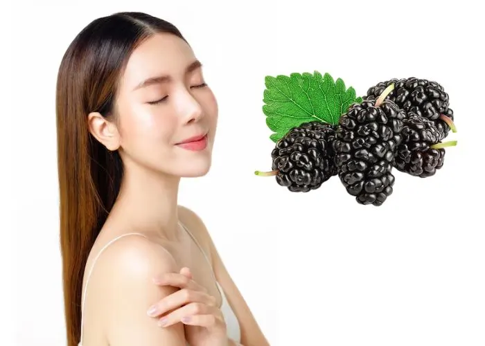 Công dụng làm đẹp của chiết xuất rễ dâu tằm (Mulberry root extract)